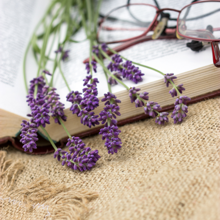 Open book with glasses and lavender decoration.