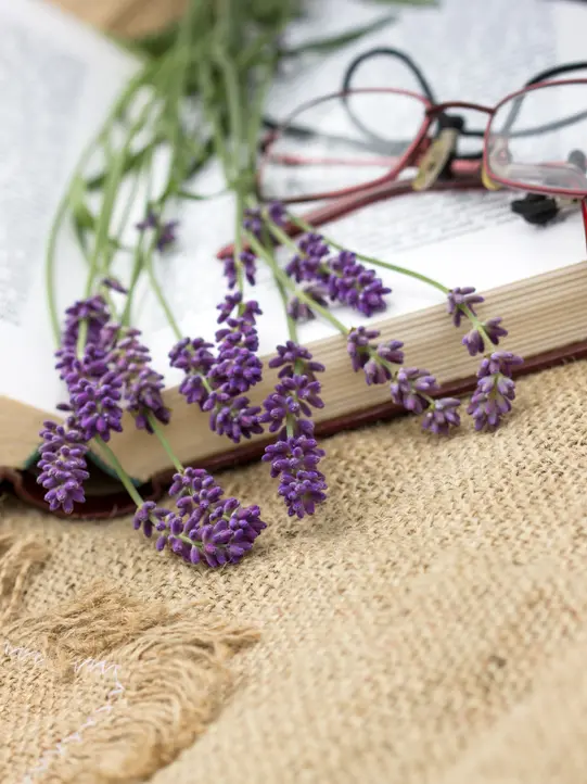 Open book with glasses and lavender decoration.
