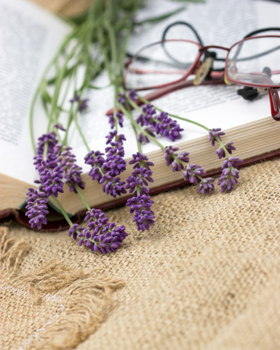 An open book with lavender and glasses
