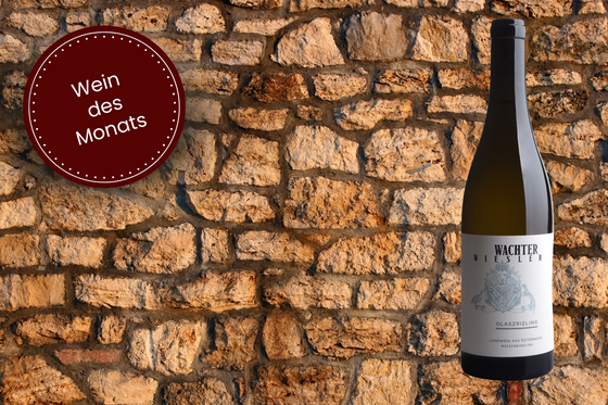 Wine of the Month for September Wine of the Month for September