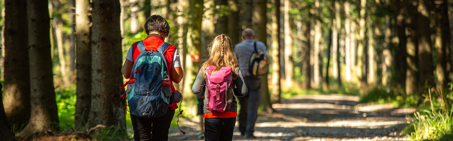 Hikers in the forest in Geschriebenstein (c) Burgenland Tourism, Andreas Hafenscher