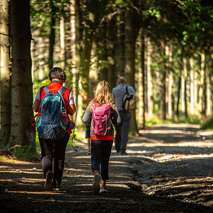 Hiking in Geschriebenstein (c) Burgenland Tourism, Andreas Hafenscher