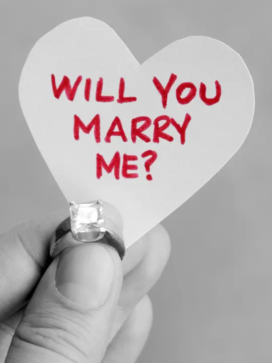 Engagement ring with shield.