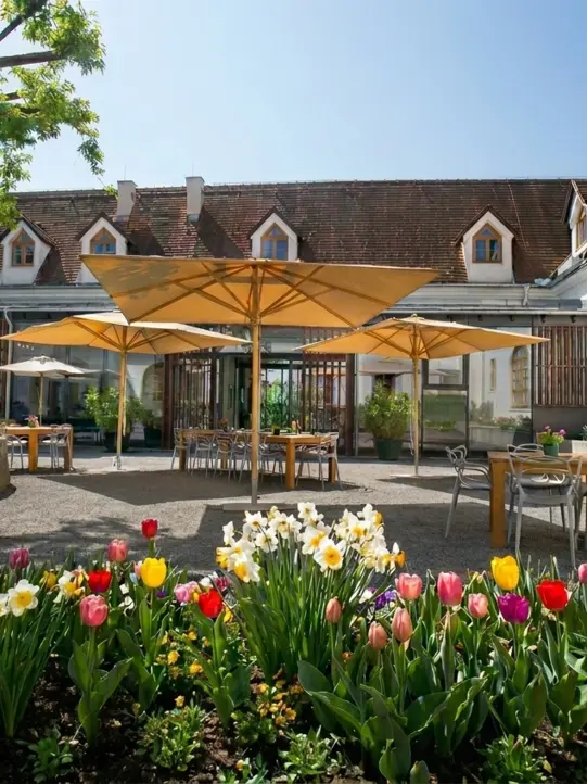 Courtyard of Burghotel Schlaining spring