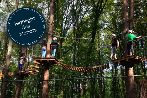 Stegerspark High Ropes Course (c) Dorfer