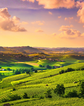 Recording of the Piedmont wine region