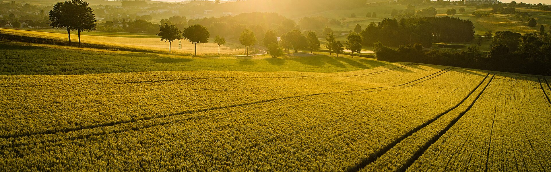 Sunset on a field (c) Bad Tatzmannsdorf Tourismus - K. Schrotter Photograph.