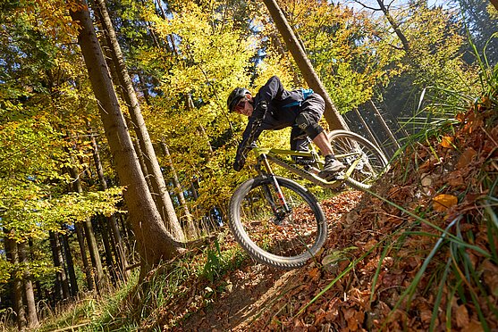Cyclists on the Burgenland Trails (c) Burgenland Tourismus | MotionManager - Hackl.