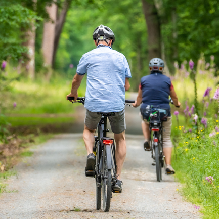 Cyclists Approaching from Behind in the Woods