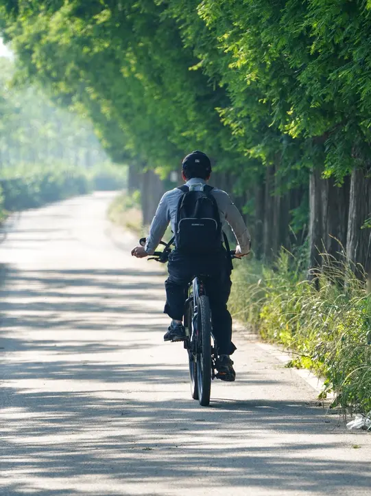Cyclist on a road next to a forest.