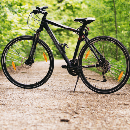 Bicycle on the path in the forest.