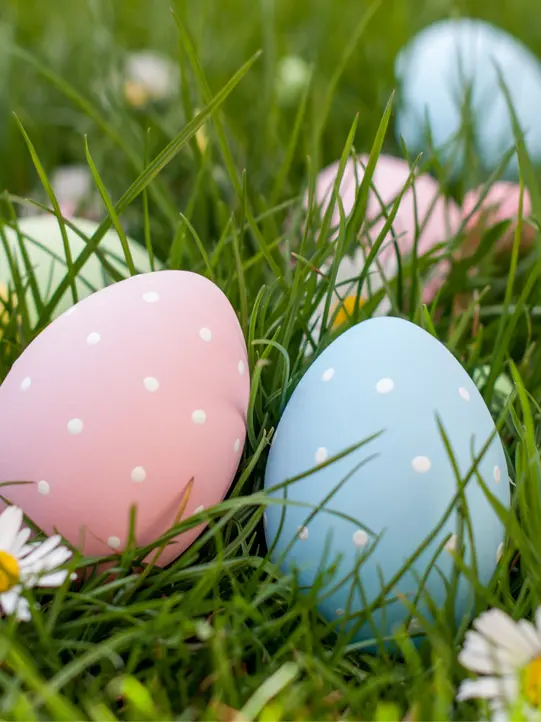 Colorful Easter eggs in a green meadow with daisies.