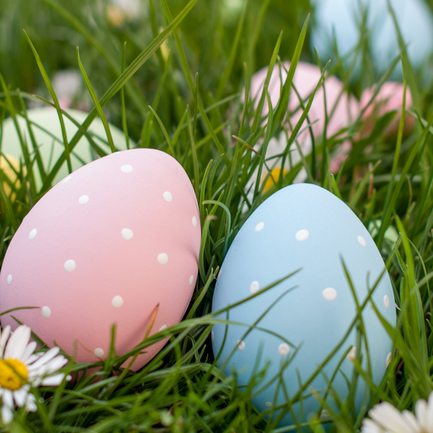 Colorful Easter eggs in a green meadow with daisies.