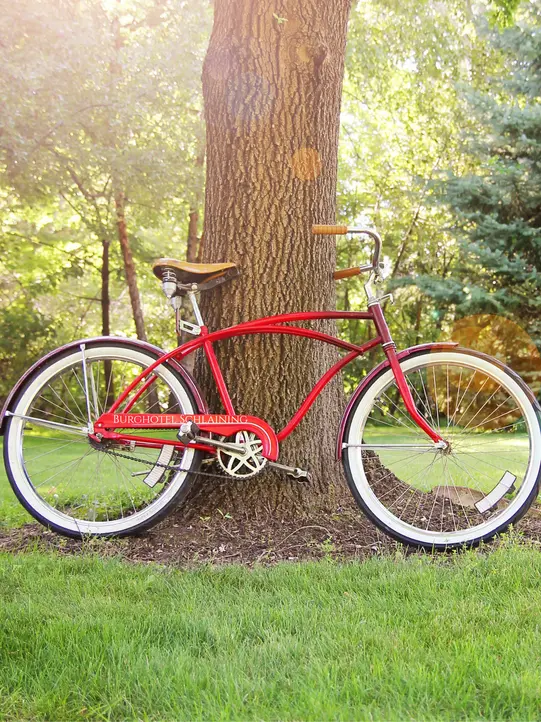 Bicycle leaning against a tree.