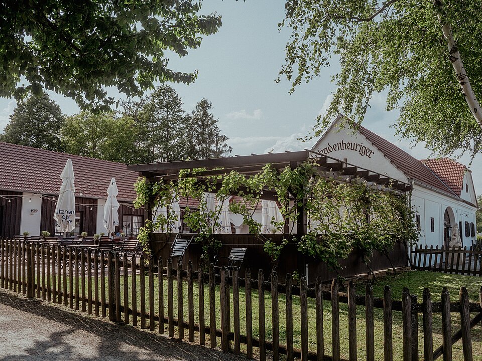 View of the Arkadenheurigen (c) Pendl | DAZUMAL Open-Air Museum Bad Tatzmannsdorf.